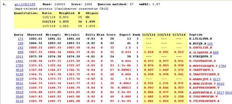 quantitation report body